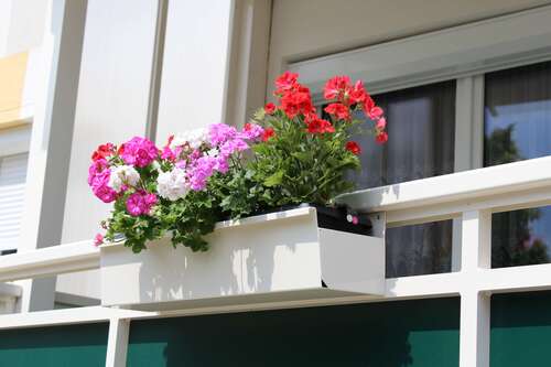 Foto - Wohnung zum Mieten in Niesky 295,20 € 41 m²