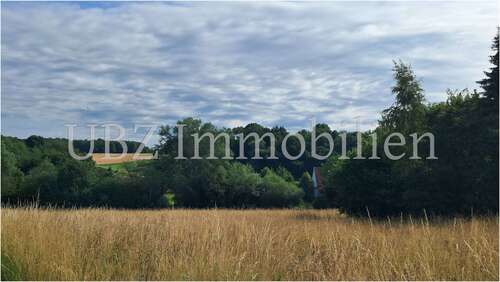 Foto - Haus zum Kaufen in Alzenau 560.000,00 € 178 m²