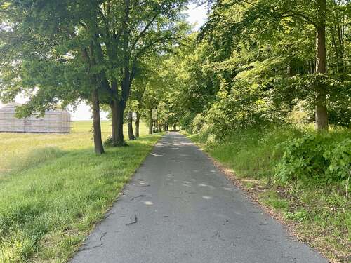 Foto - Grundstück zu verkaufen in Neubukow 90.750,00 € 726 m²