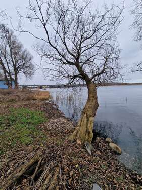 Foto - Grundstück zu verkaufen in Werder 580.000,00 € 6000 m²