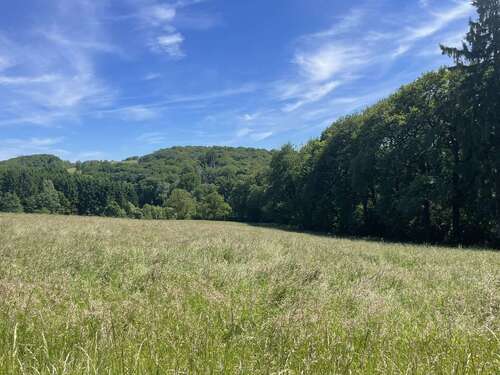Foto - Grundstück in Wuppertal 120.000,00 € 12798 m²
