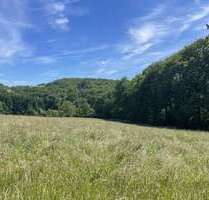 Grundstück in Wuppertal 120.000,00 € 12798 m²