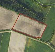 Grundstück in Ingolstadt Gerolfing 175.000,00 € 8090 m² - Ingolstadt / Gerolfing
