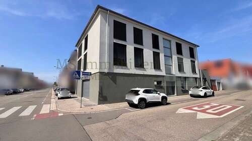Foto - Haus zum Kaufen in Lampertheim 1.500.000,00 € 360 m²