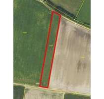Grundstück in Ingolstadt Gerolfing 60.000,00 € 2720 m² - Ingolstadt / Gerolfing