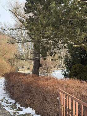 Foto - Grundstück zu verkaufen in Panketal 160.000,00 € 515 m²