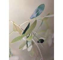 Wohnung zum Mieten in Dieburg 520,00 € 26 m²