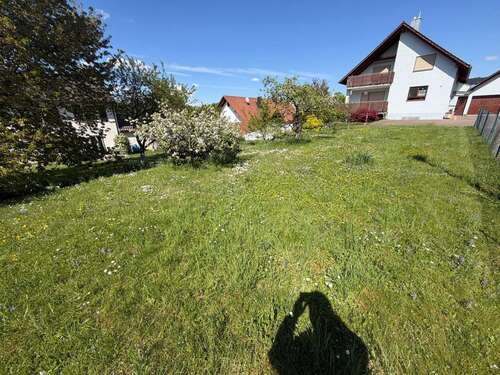 Foto - Grundstück zu verkaufen in Friesenheim 215.000,00 € 265 m²