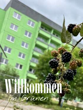 Foto - Wohnung zum Mieten in Rötha 272,25 € 36.3 m²