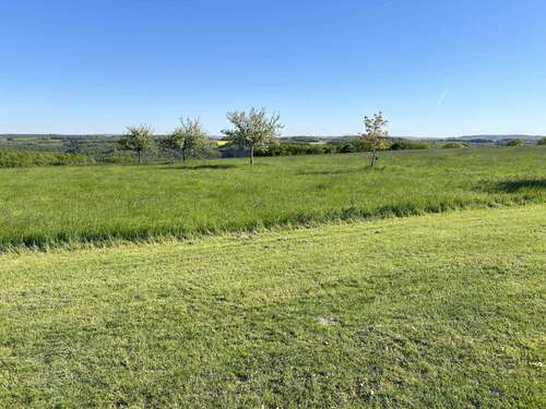 Foto - Haus zum Kaufen in Klotten 649.000,00 € 185.42 m²