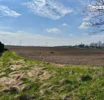 Grundstück zu verkaufen in Dummerstorf 121.480,00 € 832 m²
