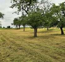 Grundstück zu verkaufen in Mühlingen 195.000,00 € 2146 m²