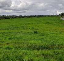 Grundstück zu verkaufen in Drochtersen 145.200,00 € 660 m²