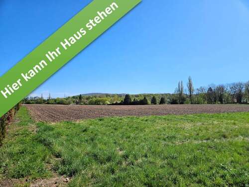 Foto - Haus zum Kaufen in Bad Harzburg 409.150,00 € 133 m²