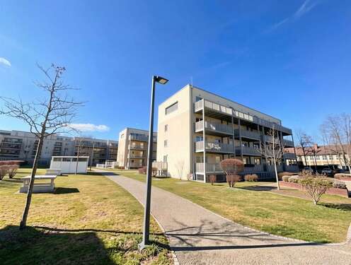 Foto - Wohnung zum Kaufen in Augsburg 290.000,00 € 56 m²