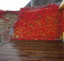 Wohnung zum Kaufen in Berlin 509.000,00 € 91 m²