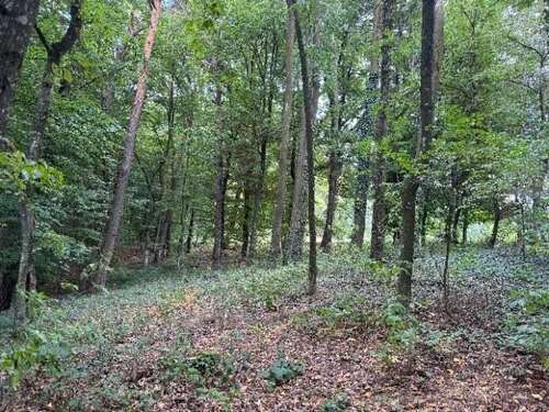 Foto - Grundstück in Essenbach Mettenbach 35.070,00 € 5010 m²