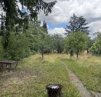 Grundstück zu verkaufen in Stammheim 89.000,00 € 1018 m²