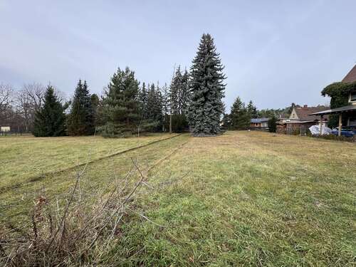 Foto - Grundstück zu verkaufen in Coswig 198.000,00 € 1030 m²