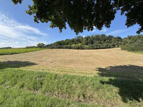 Foto - Grundstück in Weng 71.253,00 € 5481 m²