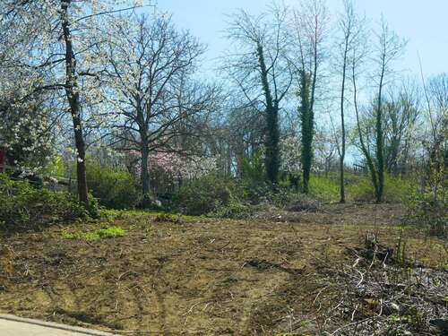 Foto - Grundstück zu verkaufen in Freiburg im Breisgau 798.000,00 € 496 m²