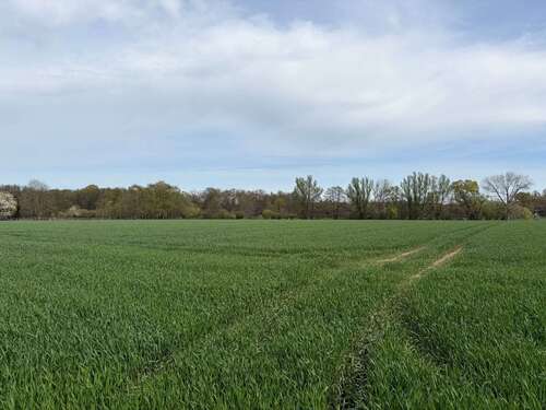 Foto - Grundstück in Krefeld 237.000,00 € 19808 m²