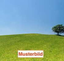 Grundstück zu verkaufen in Jossgrund 255.000,00 € 1244 m²