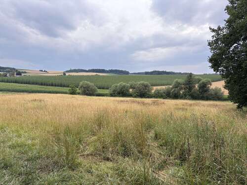 Foto - Grundstück in Hohenthann 744.188,00 € 80295 m²