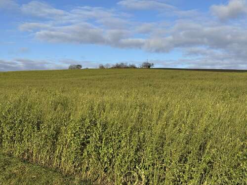 Foto - Grundstück in Weng Hinzlbach 890.892,00 € 49494 m²