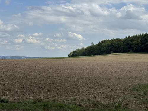 Foto - Grundstück in Essenbach 246.225,00 € 14070 m²