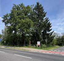 Grundstück zu verkaufen in Döbern 35.000,00 € 1877 m²