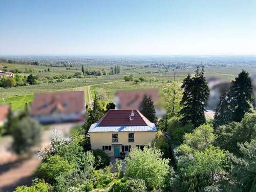 Foto - Haus zum Kaufen in Weyher in der Pfalz 748.000,00 € 150 m²