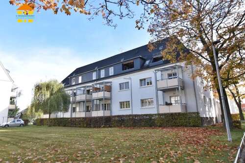 Foto - Wohnung zum Mieten in Chemnitz 290,00 € 45 m²