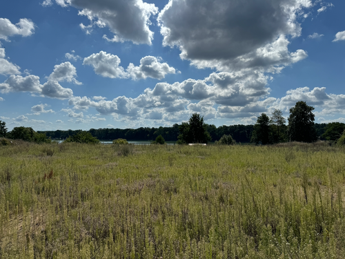 Foto - Grundstück zu verkaufen in Templin 75.900,00 € 690 m²