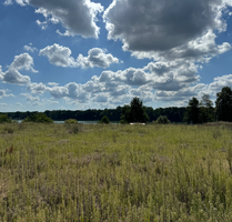 Grundstück zu verkaufen in Templin 207.700,00 € 770 m²