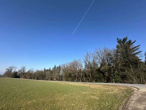 Foto - Grundstück in Tiefenbach 111.144,00 € 27786 m²