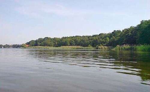 Foto - Haus zum Kaufen in Berlin 1.150.000,00 € 300 m²