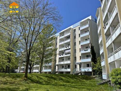 Foto - Wohnung zum Mieten in Chemnitz 300,00 € 56.29 m²