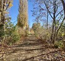 Wohnung zum Kaufen in Berlin 279.000,00 € 62 m²