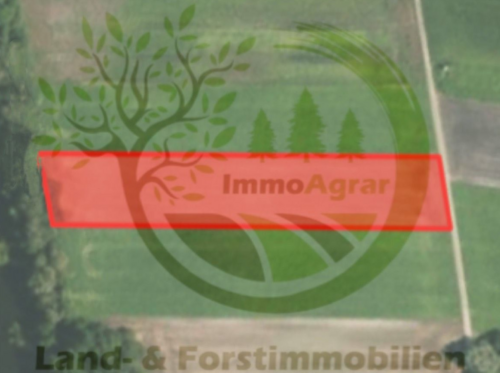 Foto - Grundstück in Wertingen 89.000,00 € 8101 m²