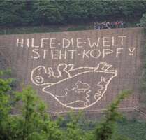 Haus zum Kaufen in Haßmersheim 374.900,00 € 164 m²