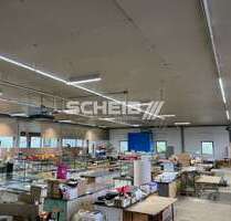 Halle in Stimpfach 2.655,57 € 931.78 m²