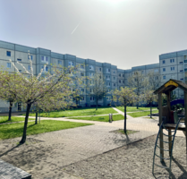 Wohnung zum Mieten in Wernigerode 209,28 € 32.65 m²