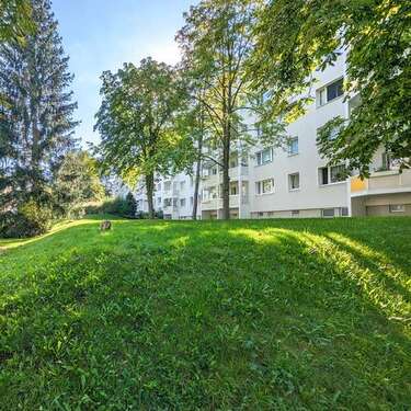 Foto - Wohnung zum Mieten in Freiberg 325,00 € 50 m²