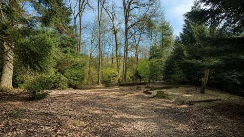 Foto - Grundstück zu verkaufen in Buchholz in der Nordheide 290.000,00 € 1050 m²