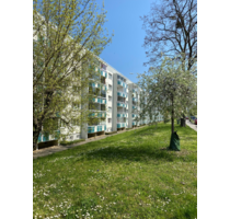 Wohnung zum Mieten in Wernigerode 368,74 € 58.53 m²