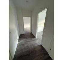 Wohnung zum Mieten in Hagen 430,00 € 59 m²