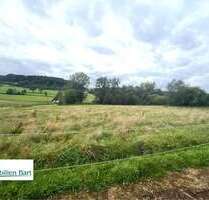 Grundstück zu verkaufen in Merzkirchen Körrig 224.800,00 € 4000 m² - Merzkirchen / Körrig