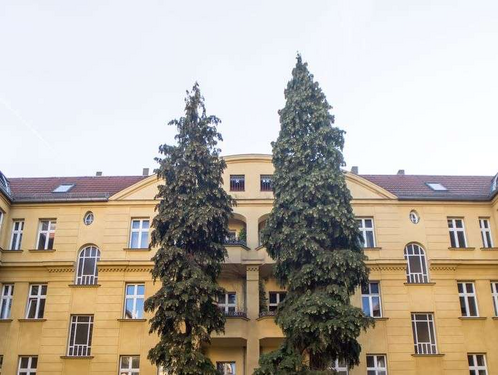 Foto - Wohnung zum Kaufen in Berlin 195.000,00 € 52.5 m²