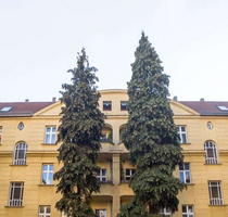Wohnung zum Kaufen in Berlin 195.000,00 € 52.5 m²